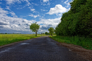 Fototapeta premium Winding Dirt Road Through Green Meadows on a Summer Day in Bavaria