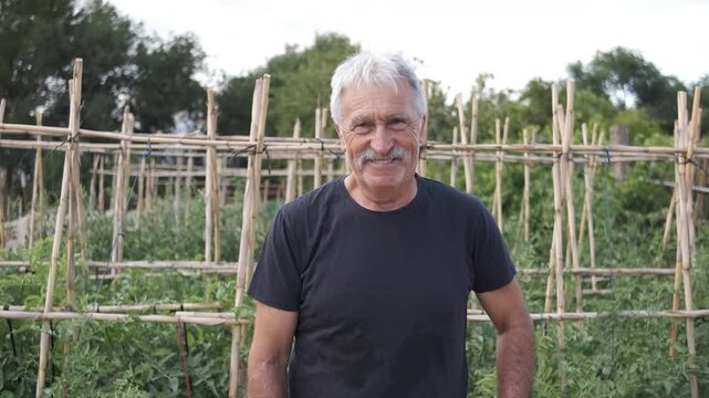 Happy confident senior man in casual tshirt looking at camera as he nods his head while standing at community garden during sunny day