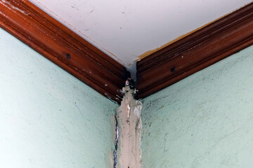 Deep vertical crack in corner of residential concrete wall near wooden ceiling molding cornice. House structural damage and renovation concept. House wall defect and corner fissure. Selective Focus. © JinnaritT
