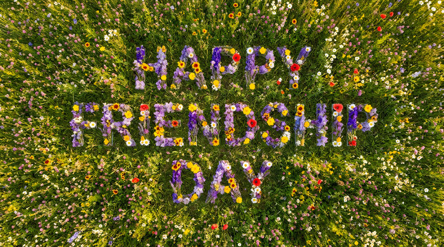 Happy Friendship Day wildflower text isolated on background