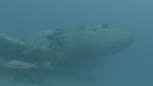 log footage of an airplane wreck underwater scuba divers to explore  metal on ocean floor