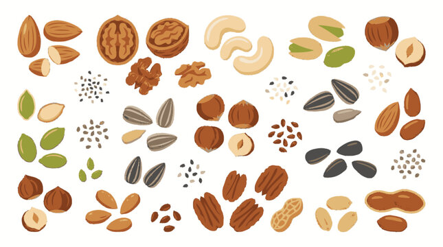 Sketchy flat textured illustration of assorted nuts and seeds includin