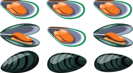 Fresh Green Lipped Mussels Vector Set Featuring Closed Shells and Open Half Shells with Orange Meat for Seafood Restaurant Menu Designs © Mehedi