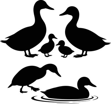 Duck family silhouette