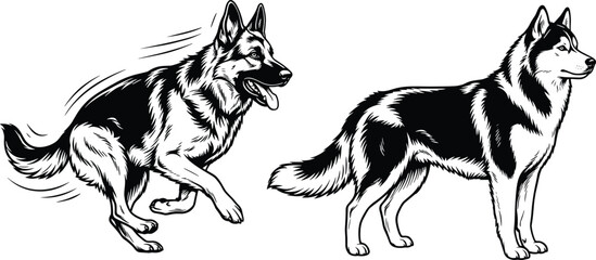 German Shepherd and Siberian Husky Dog Breeds Set with Black and White Detailed Detailed Vector Illustrations for Mascots LogosGerman Shepherd and Siberian Husky Dog Breeds Set with Black and White De © Mohammad