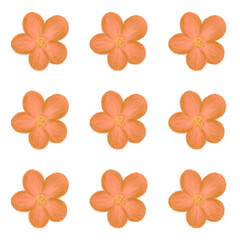 Obraz premium Flower seamless pattern digital drawing