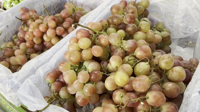 Fresh exotic red longan fruits packed in plastic wrap