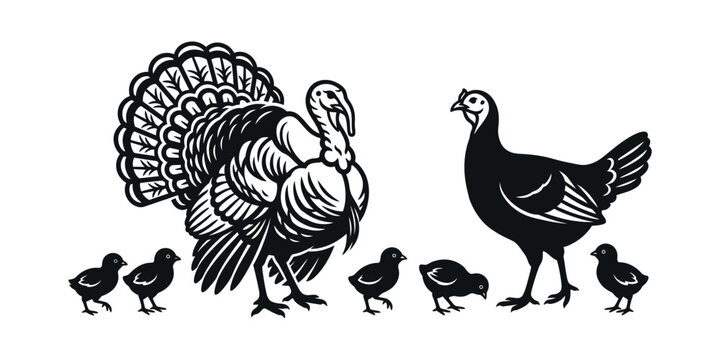 Black and white illustration of a turkey family with chicks