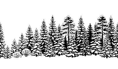 Fototapeta premium Snow Covered Winter Forest Panorama Border with Evergreen Trees Isolated on White Vector Illustration