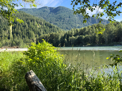 Landscape of Washington state lush forest woods with Cascade mountains and Skagit river flowing during early summer