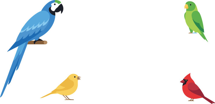 Colorful Exotic and Domestic Birds Vector Icon Set Featuring Blue Macaw Parrot Green Parakeet Yellow Canary and Red Northern Cardinal Illustrations