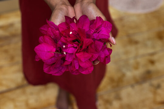 female hands offering flowers, giving and care concept, ritual