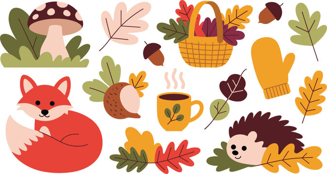 Autumn forest animal vector illustration set featuring cute cartoon red fox hedgehog fall oak leaves basket forest mushroom acorns warm coffee cup and cozy winter mitten.