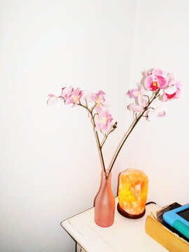 Orchid & Salt Lamp