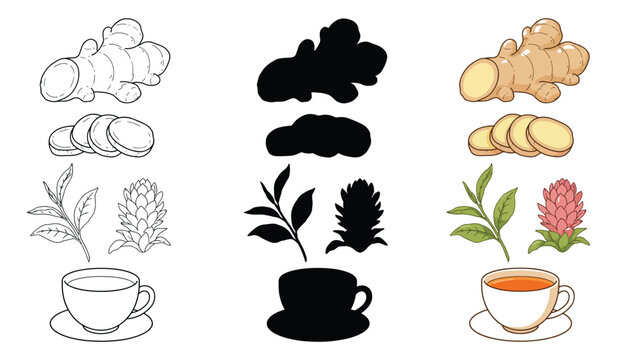 Ginger Root and Herbal Tea Vector Icon Set, Minimalist Botanical Spices and Teacup Collection, Fresh Ginger Slices and Blossom Graphics, Flat Culinary Seasoning Clip Art with Silhouette and Color.