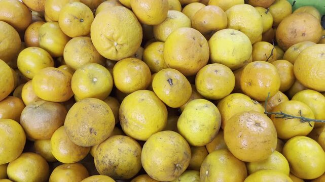 Abundant pile of sweet citrus fruits for healthy diet