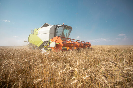 Harvesting