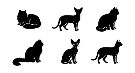 Diverse Cat Silhouettes Collection, Six Unique Feline Poses, Vector Icons for Pet Lovers and Animal Graphics © sakil