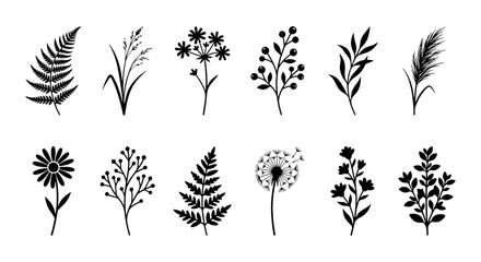 Fototapeta premium Botanical Silhouettes Collection: Delicate Floral and Leafy Elements, Elegant Plant Illustrations for Nature Designs, Vector Graphics Set