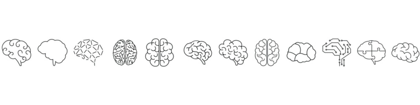 Brain development stages illustration from infancy to advanced cognitive function