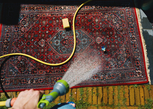 Cleaning a Rug With a Hose in a Garden