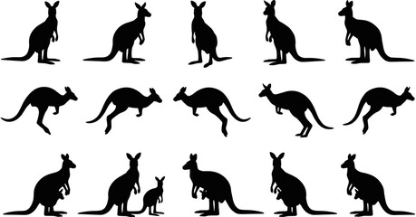 Kangaroo silhouettes vector set, Australian marsupial icons, black animal shapes, jumping standing poses, baby joey pouch, wildlife nature graphic elements. © Ahsan