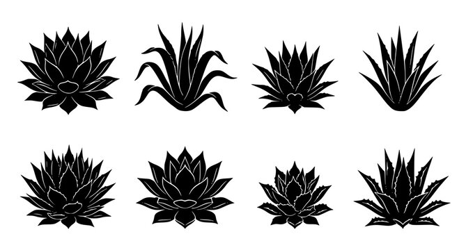 Desert Agave Silhouette Vector Set