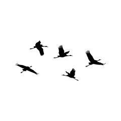 Obraz premium Flock of birds flying silhouette.