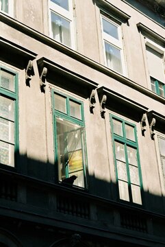 Black Cat Silhouette in an Old European Apartment Window