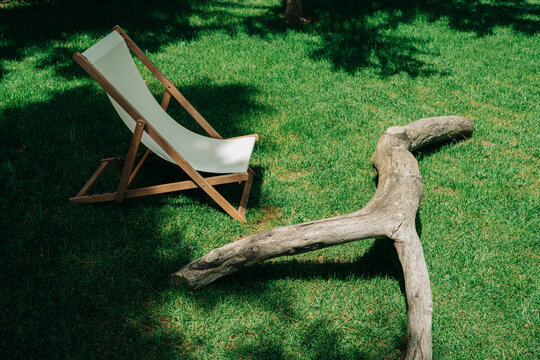 Wooden deck chair and driftwood on sunlit garden lawn