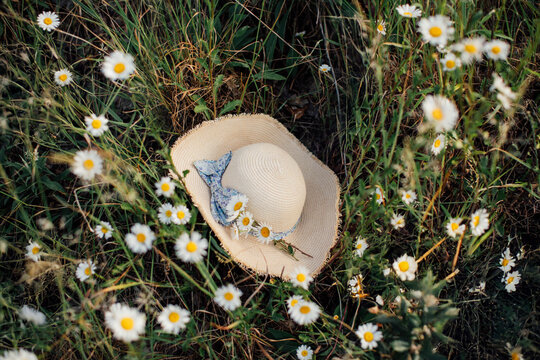 Straw Sun Hat Lying Amongst Daisies