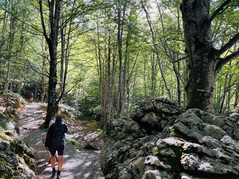 Senda de Urbia 