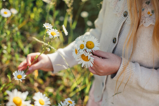 Young Girl Picking Daisies