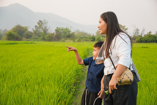 An Asian boy pointing his finger at something with a smiling mother in a green rice field during sunset, happy family exploring nature together during authentic rural lifestyle outdoor.