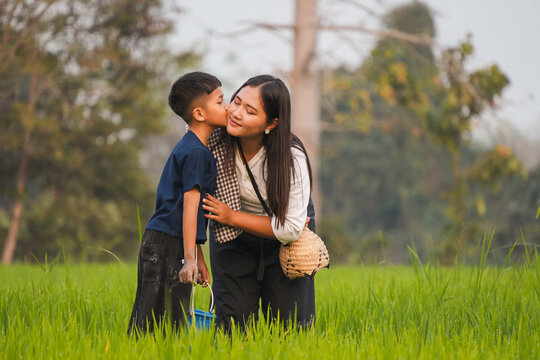 A loving Asian boy kissing his mother on the cheek in a green rice field, happy family enjoying sweet moment together during authentic rural lifestyle outdoor.