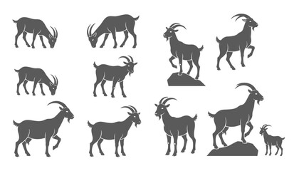 Fototapeta premium Large group of mountain goat silhouettes showcases wild rams in various standing grazing and climbing poses on white.