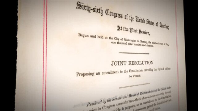 19th Amendment US Constitution Aged Historical Womens Suffrage 3 