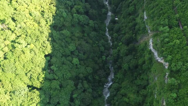 Bird's eye drone flight over Okatse Canyon gorge with river, rocky cliffs, hanging trail and forested peaks at golden hour, Georgia, aerial 4K