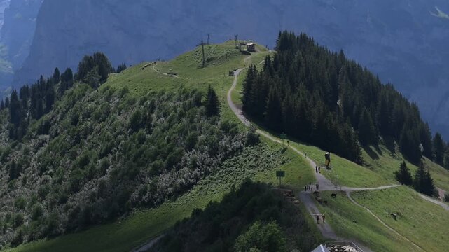 Scenic mountain path along a grassy ridge with pine forest and hazy Alpine peaks in the distance, near M&uuml;rren, Switzerland.