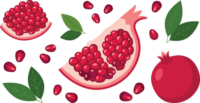 Pomegranate vector illustration with whole fruit sliced halves fresh red seeds and green leaves isolated on white background for design graphic element