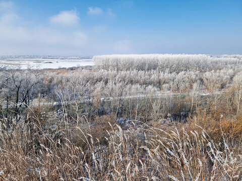 A vast winter landscape features frost-covered trees and a frozen river valley under a pale sky. Dried weeds in the foreground sway gently, their stalks dusted with rime ice. Serene, chilly atmosphere