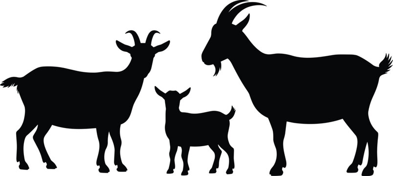 Goat family silhouette vector illustration featuring billy doe and baby kid isolated on white background