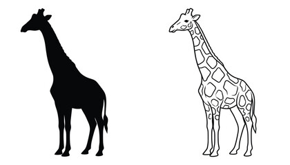 Fototapeta premium Giraffes Pair of Black Silhouette and Outline Drawing Vector Illustration for Children's Books and Educational Materials