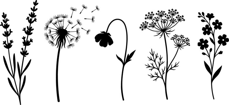 Wildflower Silhouette Icon Set Featuring Lavender, Dandelion Puff, Meadow Bud, Dill Blossom, and Forget Me Not Vectors for Minimalist Botanical Pattern Designs