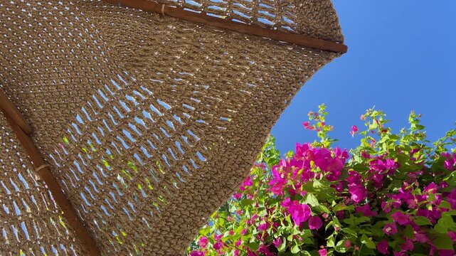 Woven beach umbrella with blooming bougainvillea flowers against a clear blue sky, tropical background, luxury resort, spa retreat, summer relaxation, wellness escape and vacation lifestyle