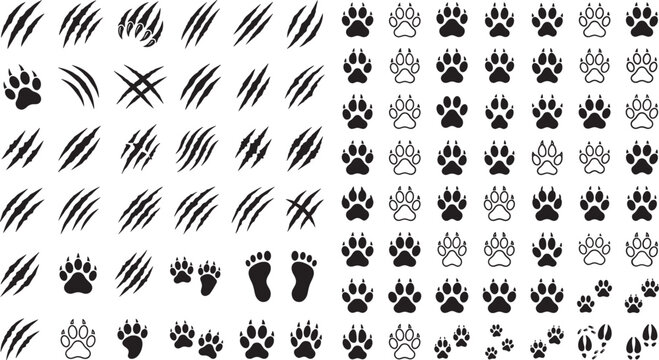 Animal paw prints and claw scratch marks black silhouette vector bundle featuring wolf bear tiger cat tracks monster scratches and wild wildlife footprints.