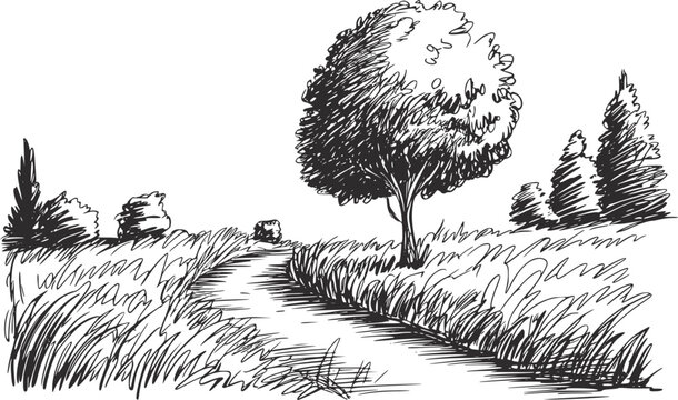 A hand-drawn black and white of a peaceful country path winding through a grassy field with trees