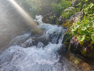 Clear Mountain Spring Water Cascade © vadiml