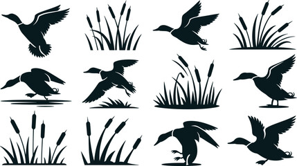 Lake ducks flat vector illustration elements. Black silhouette mallards swimming and flying among marsh cattail reeds form an outdoor swamp wildlife collection. © Olivia