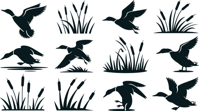 Lake ducks flat vector illustration elements. Black silhouette mallards swimming and flying among marsh cattail reeds form an outdoor swamp wildlife collection.